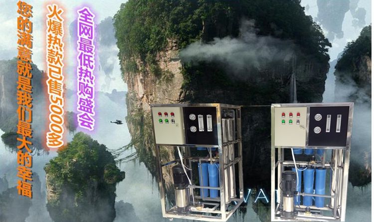 0.25/0.5T反滲透水處理設備簡易機